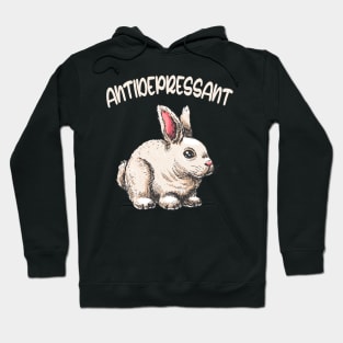 Cute Bunny Antidepressant Pet Gift Hoodie